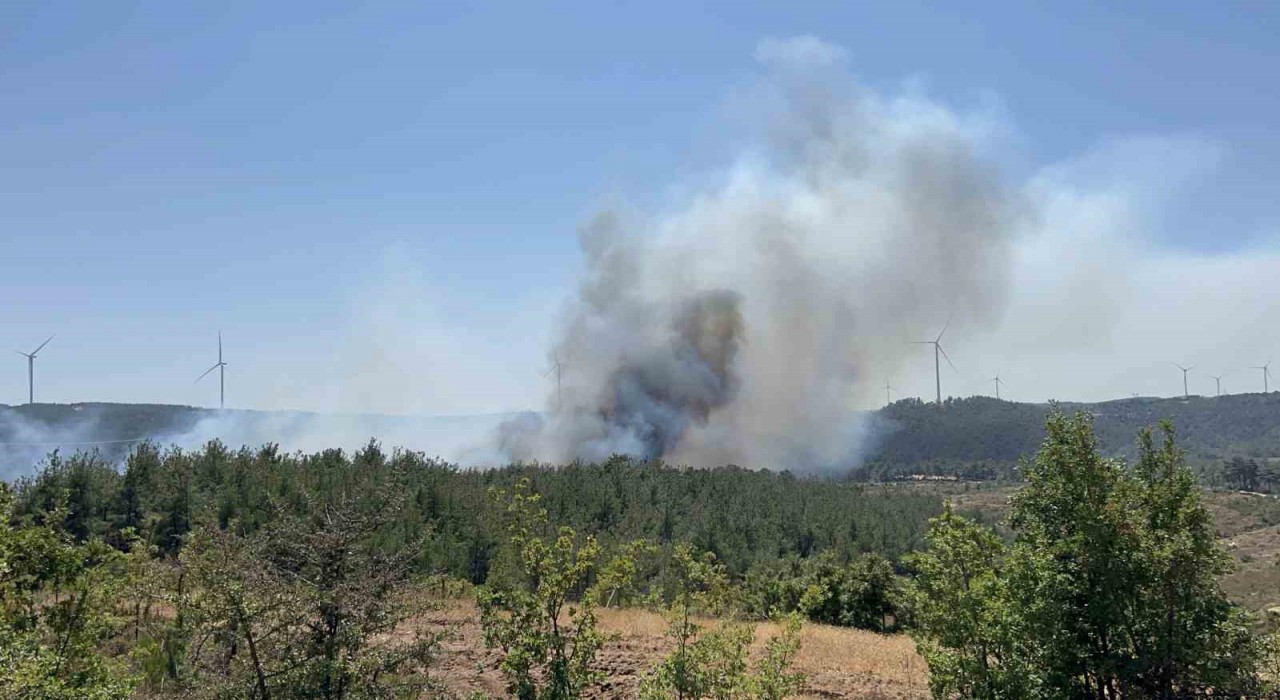 Çanakkalede orman yangını