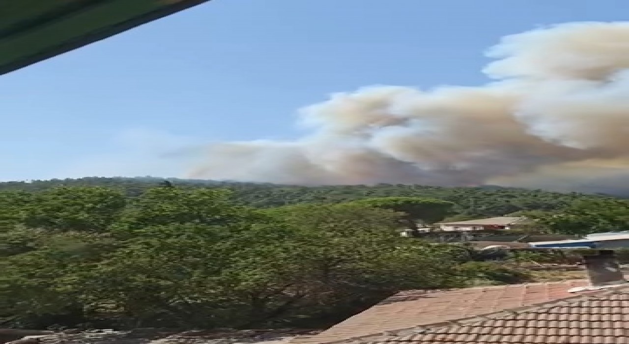 Çanakkalede orman yangını