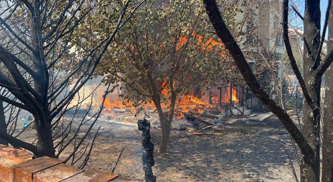 Çanakkalede orman yangını devam ediyor