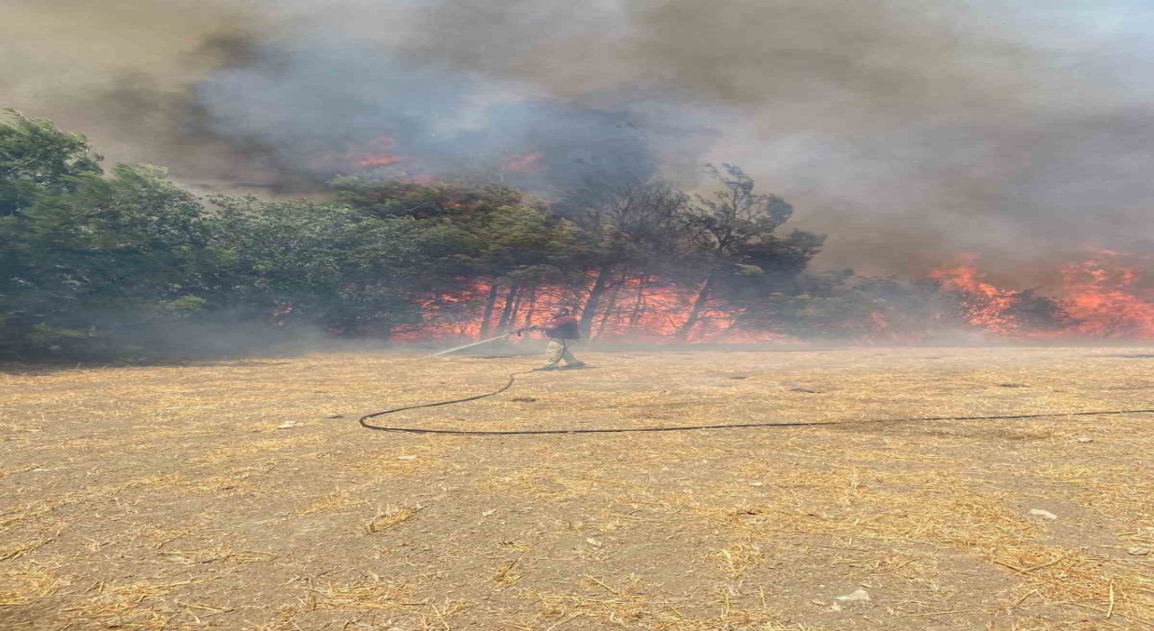 Çanakkalede orman yangınına havadan ve karadan müdahale ediliyor
