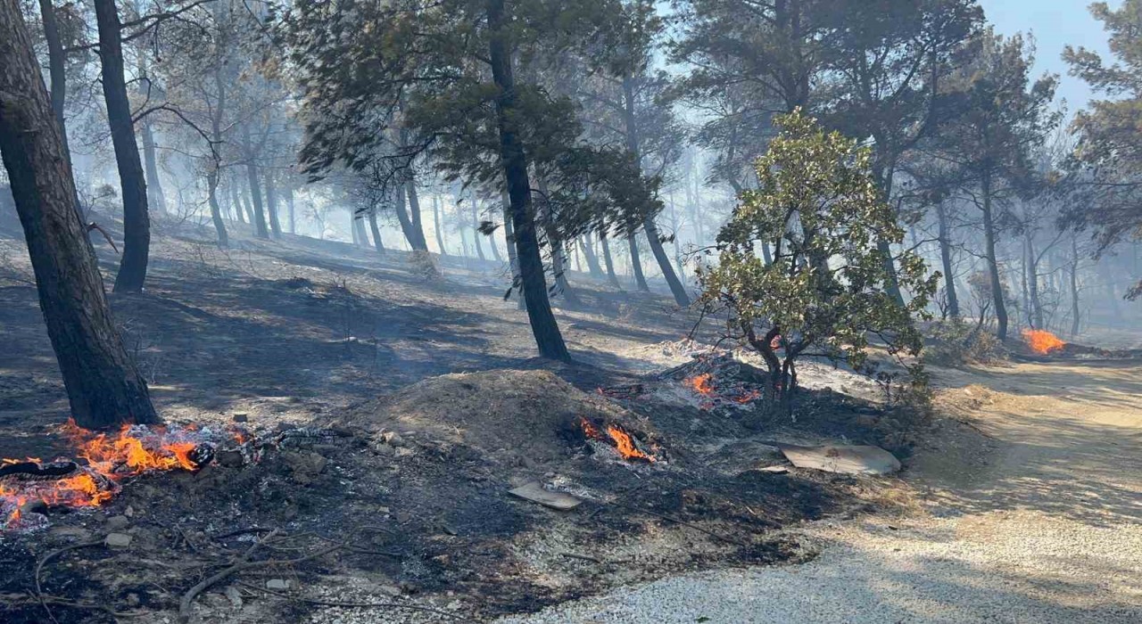 Çanakkalede ormanlık alana sıçrayan yangında villalar yandı