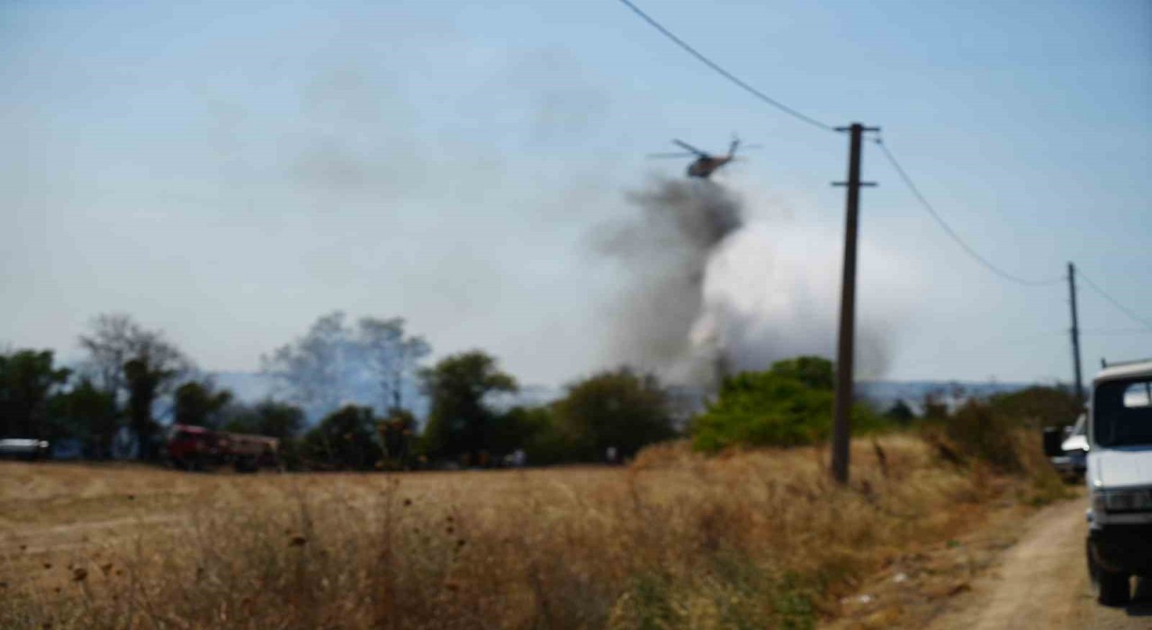 Çanakkalede tarım arazinde yangın  kontrol altına alındı