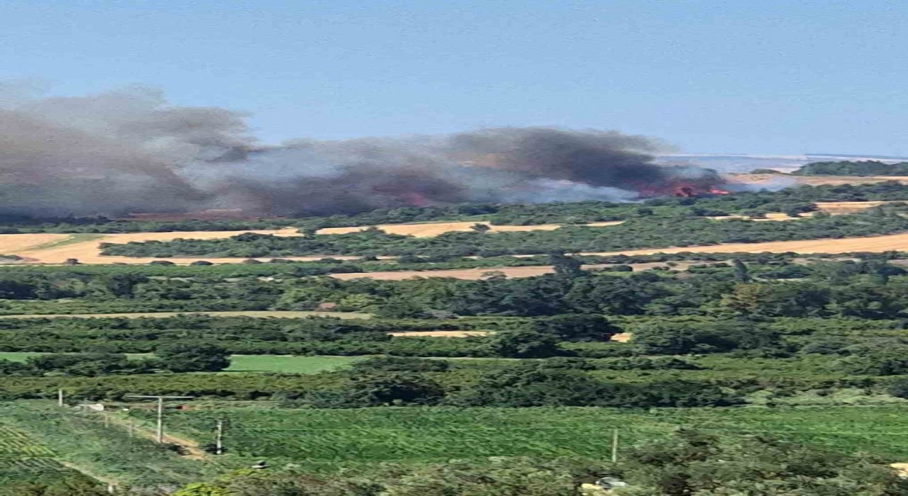 Çanakkalede tarım arazisinde başlayan yangın ormanlık alana sıçradı