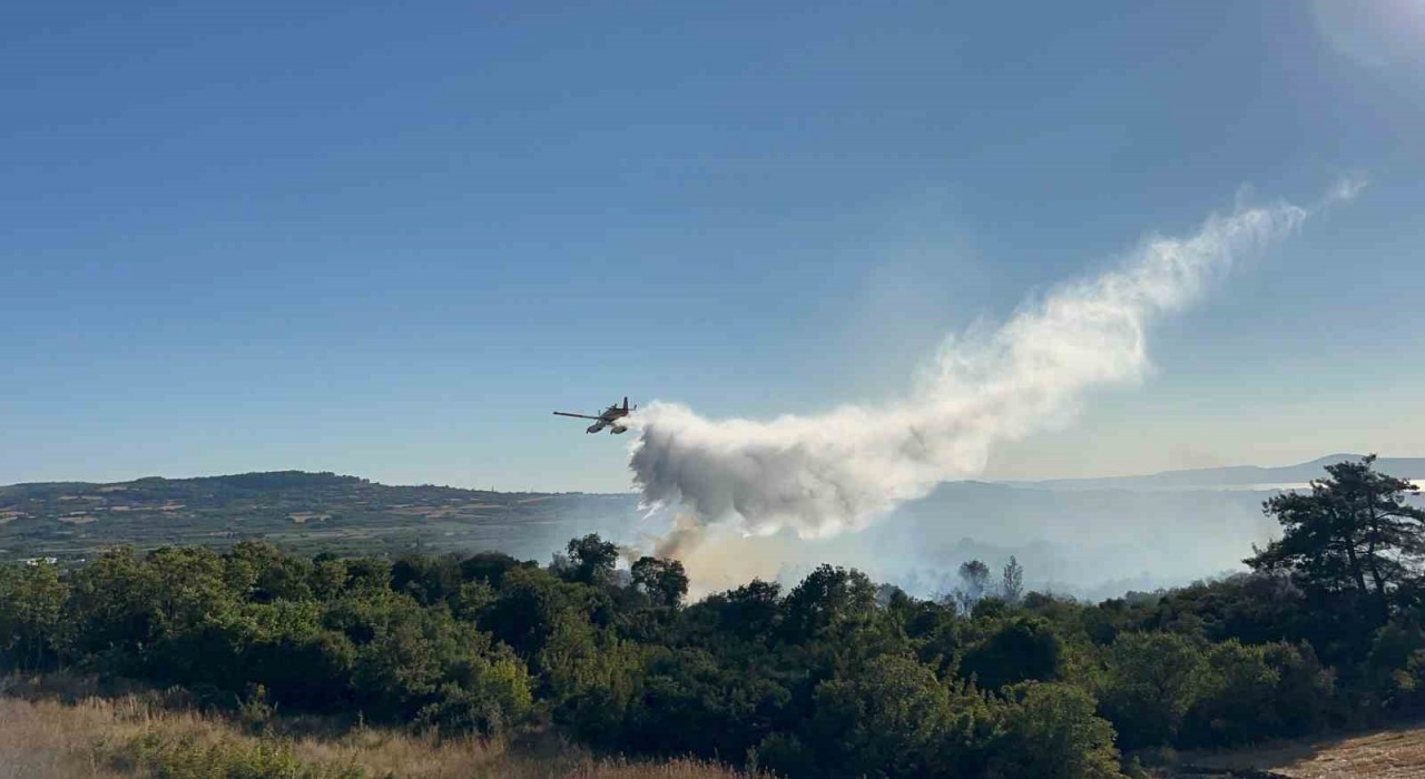Çanakkalede tarım arazisinde başlayarak ormanlık alana sıçrayan yangın kontrol altına alındı
