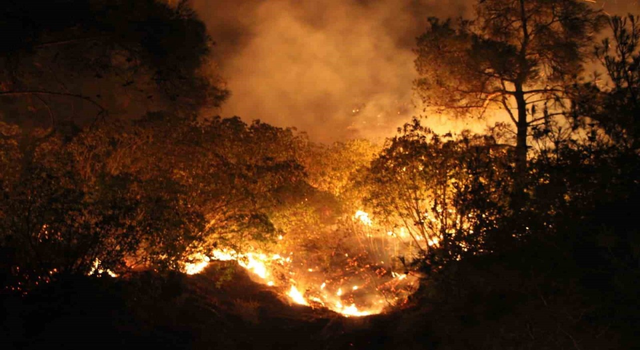 Çanakkalede yangın etkisini sürdürüyor... Ekiplerin müdahalesi gece de sürüyor