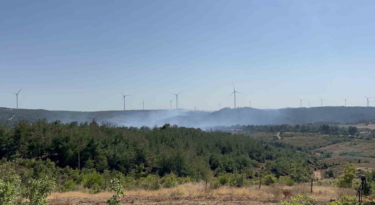 Çanakkaledeki orman yangını kontrol altında