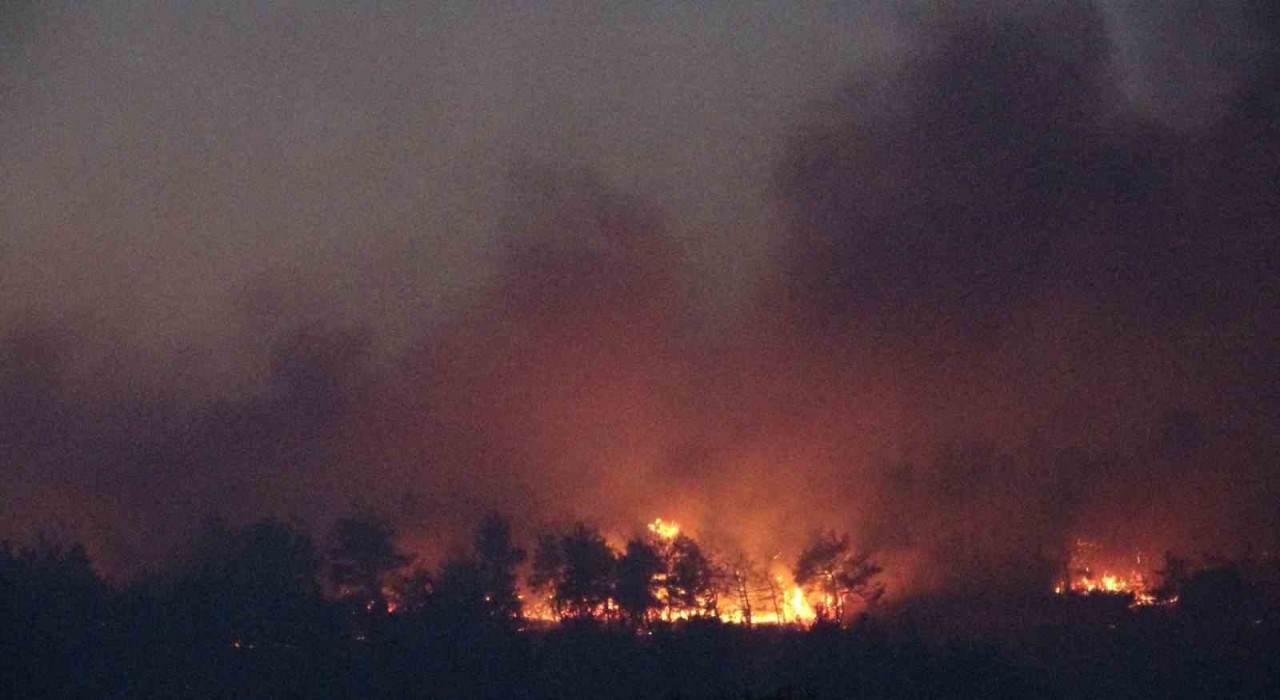 Çanakkaledeki orman yangınına karadan müdahale devam ediyor