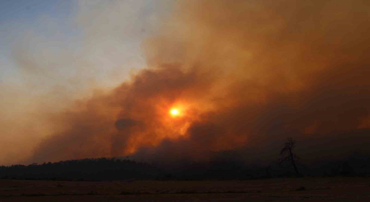 Çanakkaledeki yangında 126 vatandaş tahliye edildi