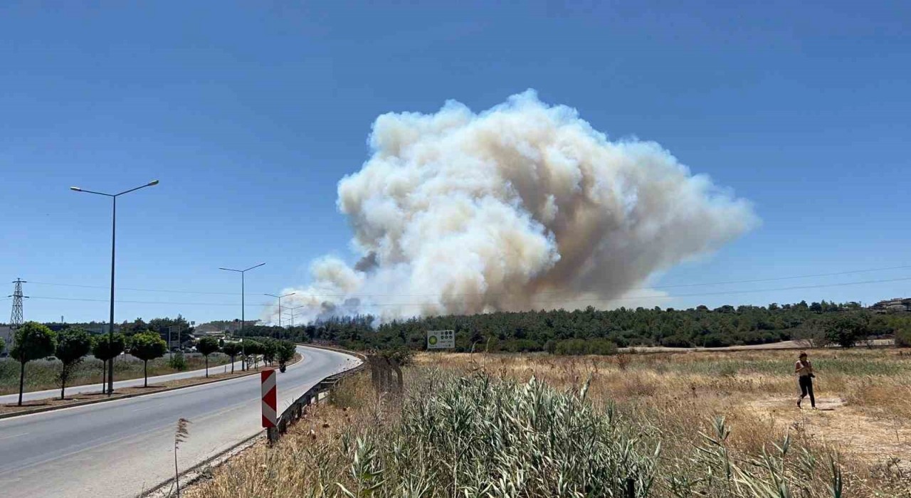 Çanakkaledeki yangında tedbir amaçlı Güzelyalı bölgesindeki vatandaşlar tahliye ediliyor
