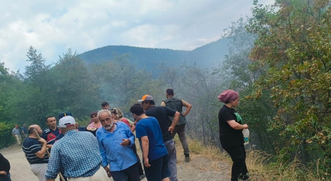 Çatalzeytinde çıkan orman yangını kontrol altına alındı