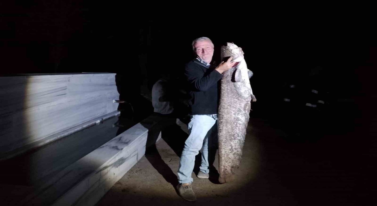 Çiçeközü Barajında dev yayın balığı