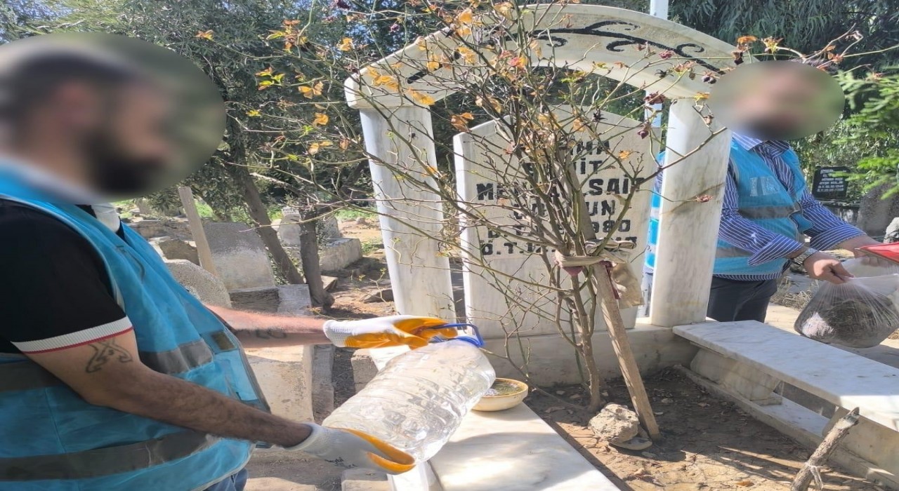 Cizrede denetimli serbestlik yükümlüleri şehit kabirlerini temizledi