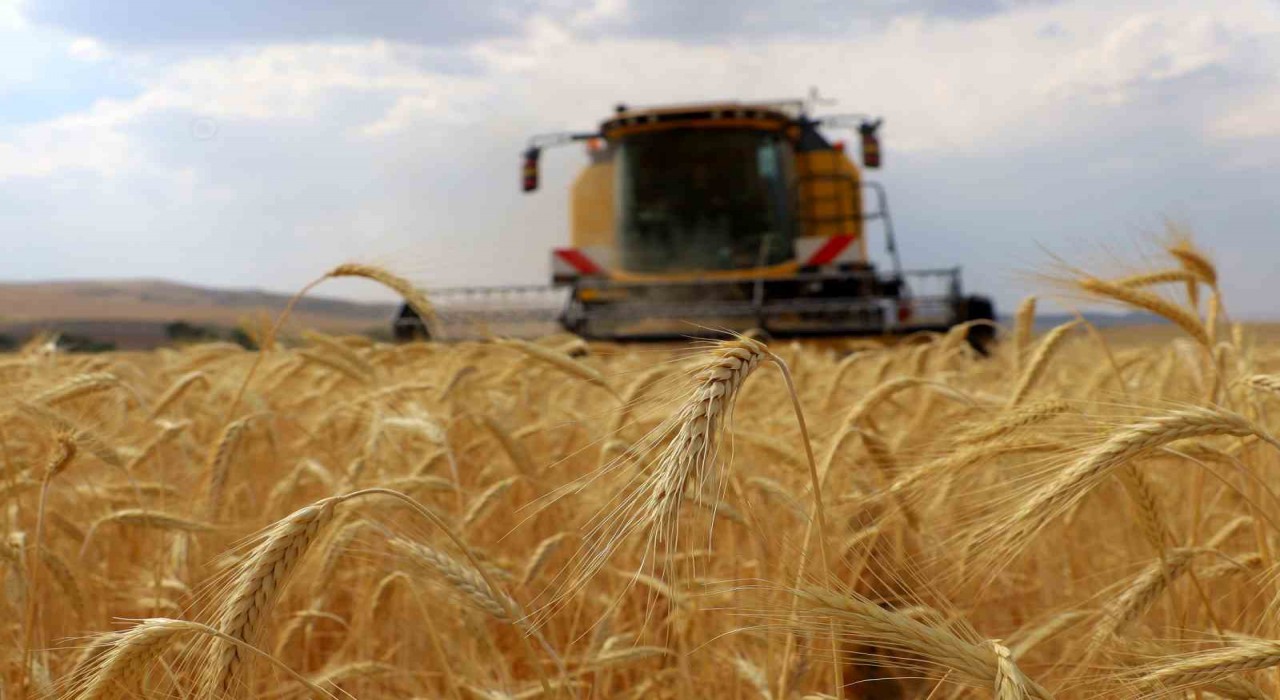 ÇKS başvuruları 1 Eylülde başlıyor