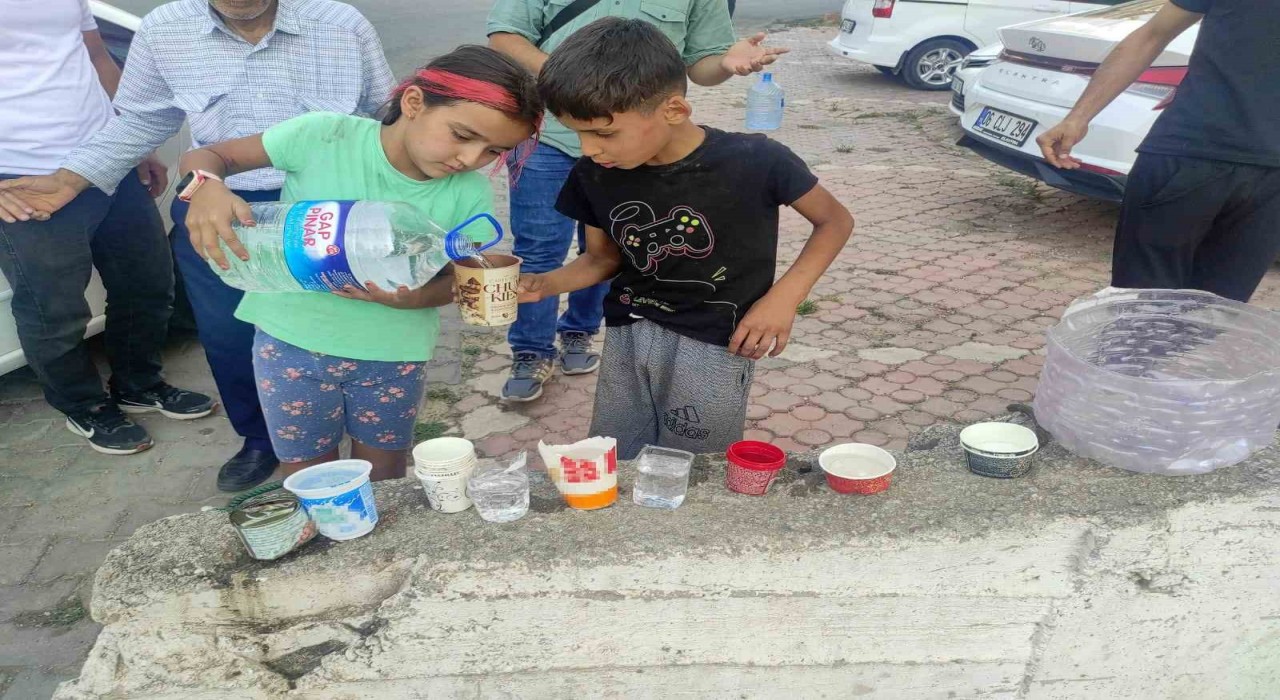 Çocuklar yüksek sıcaktan etkilenen sokak hayvanları için su ve yiyecek bıraktı