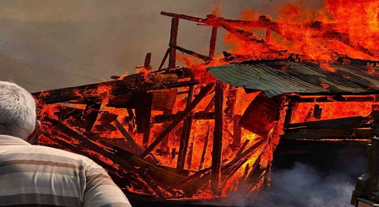 Çöplükte çıkan yangın 5 samanlığı küle çevirdi