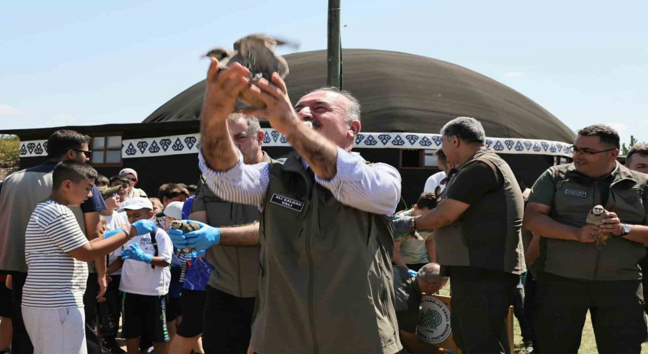 Çorumda 120 kınalı keklik doğaya salındı