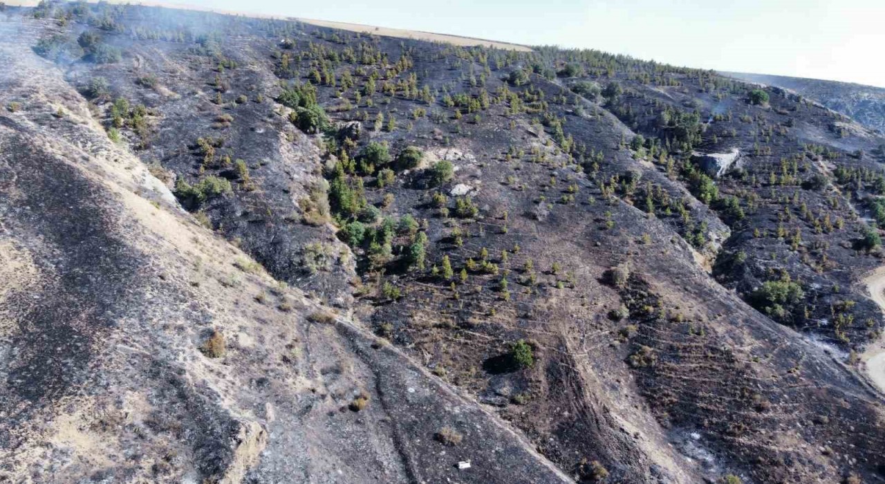 Çorumdaki orman yangını kontrol altına alındı