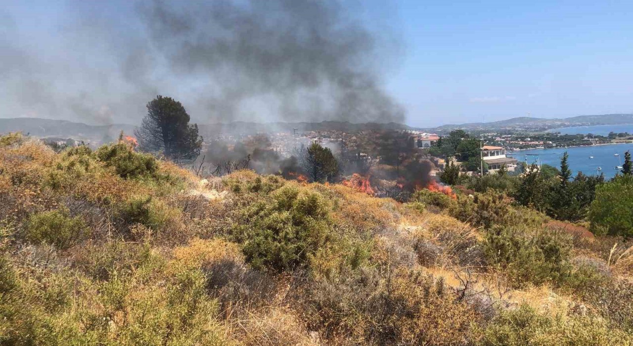 Datçada makilik yangını kontrol altına alındı