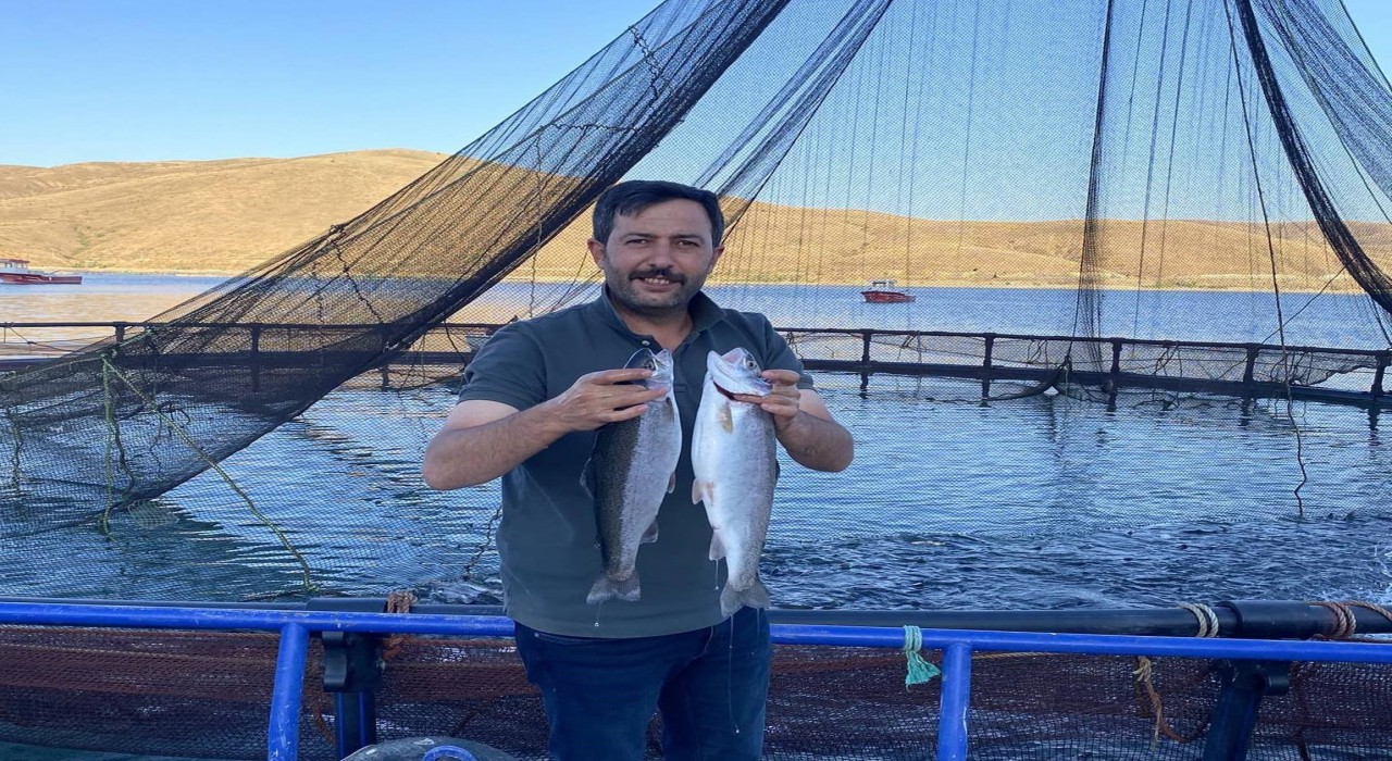 Demirözü Göletinde yetişen Alabalıklar Somon oldu