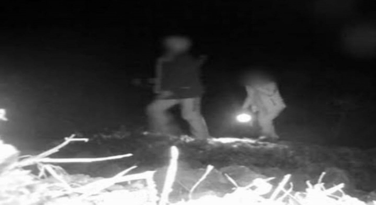 Denizlide 3 kaçak avcı gece avında fotokapanla yakalandı