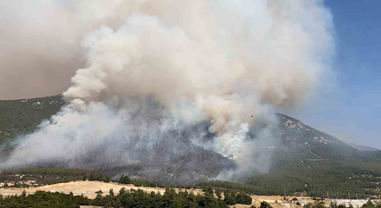 Denizlide çıkan orman yangınını söndürme çalışmaları aralıksız devam ediyor
