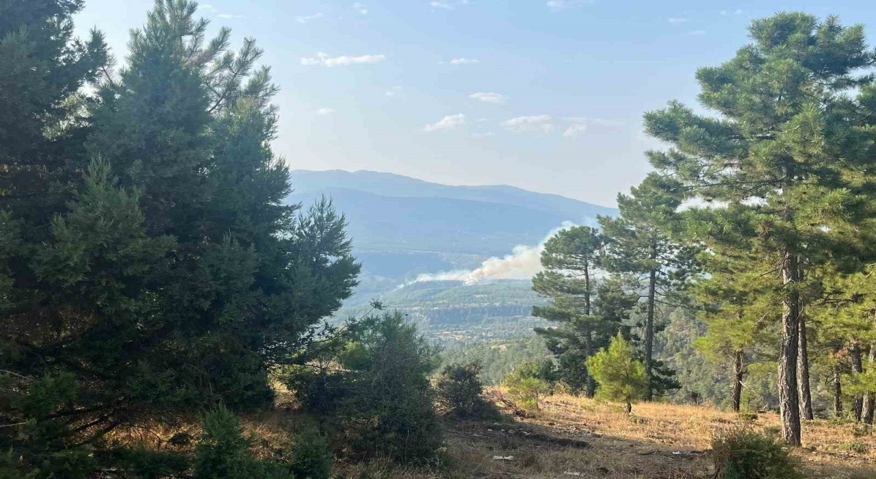 Denizlide orman yangını