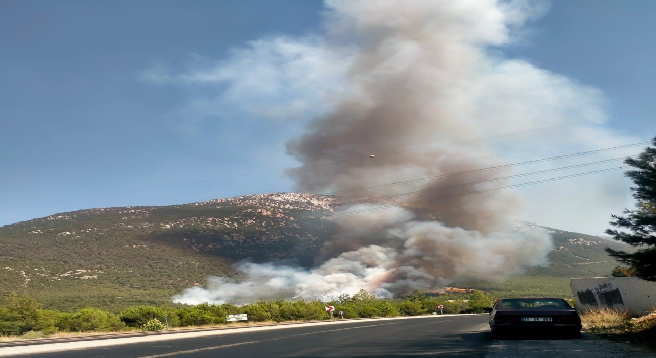 Denizlide orman yangını