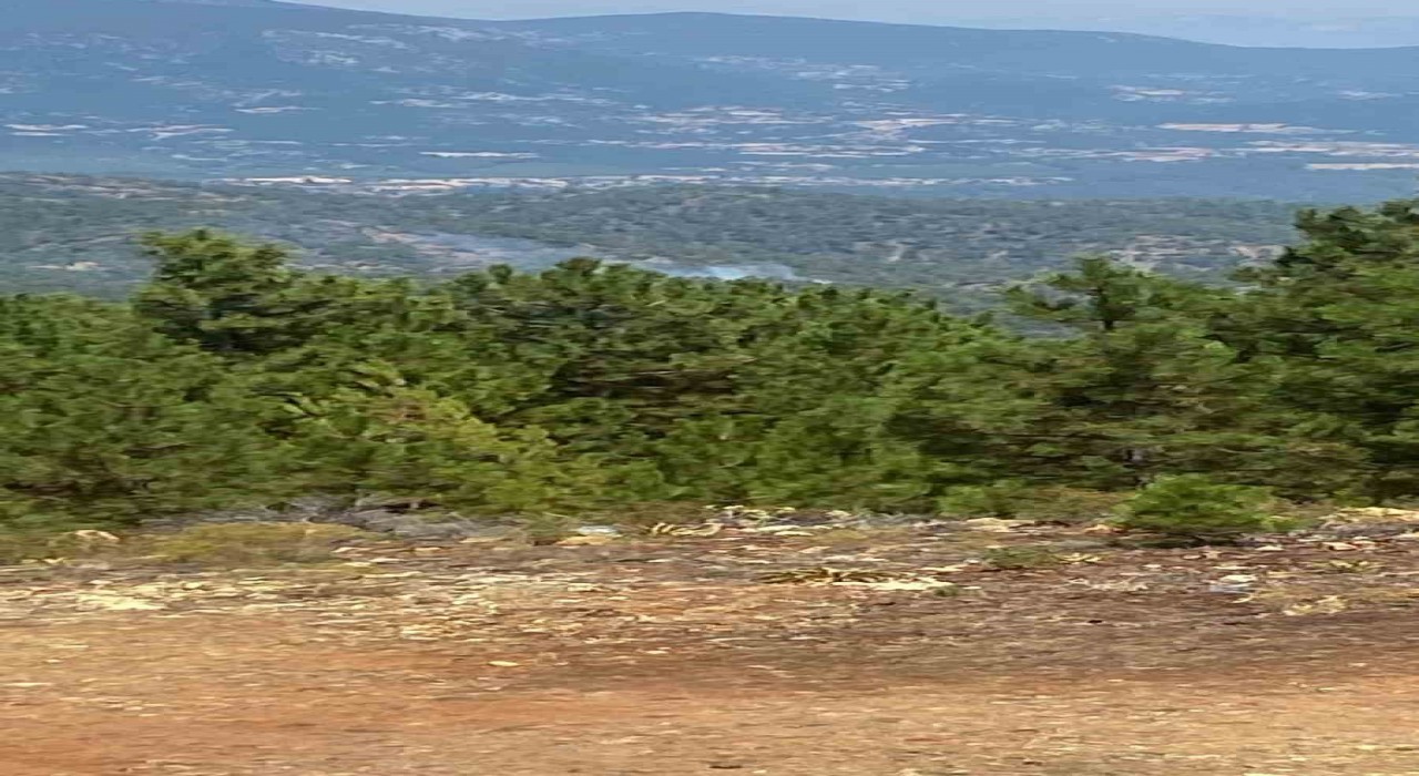 Denizlide sarp arazide orman yangını başladı