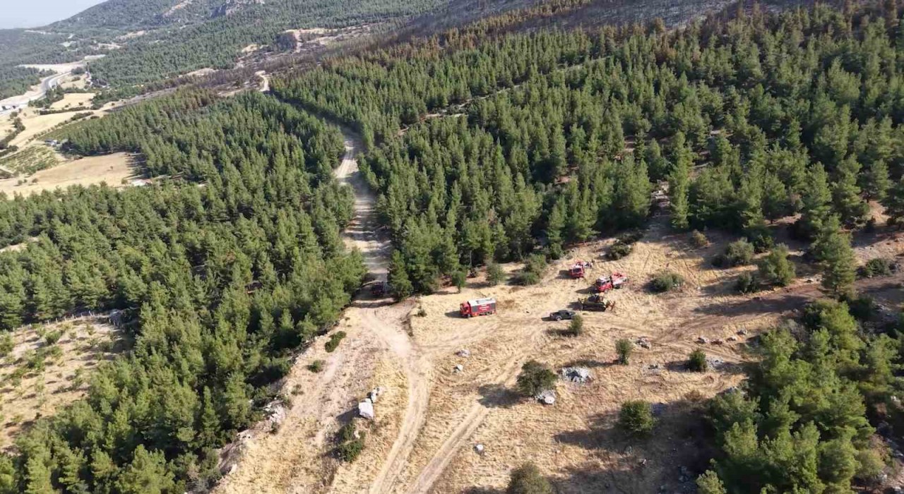 Denizlide yanan orman sahası havadan görüntülendi