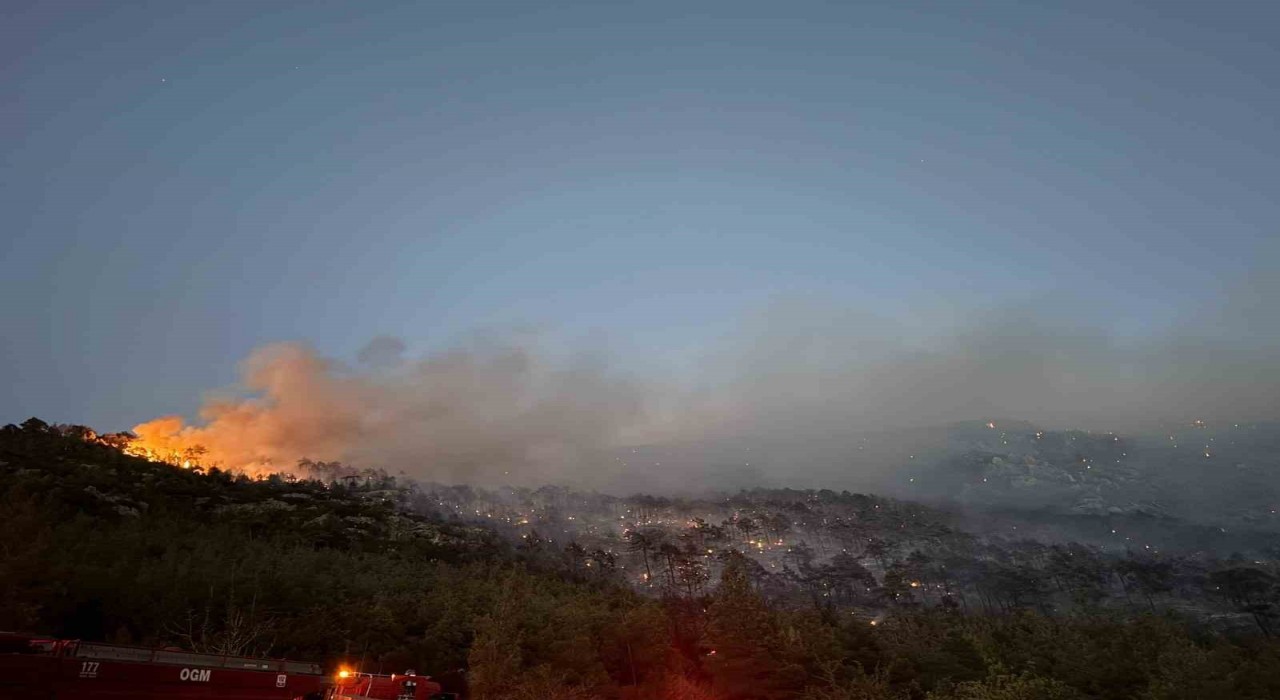 Denizlideki orman yangını kontrol altına alındı