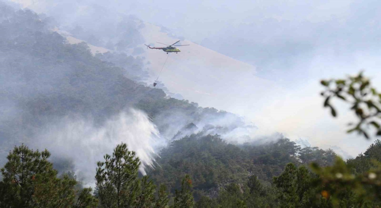 Denizlideki orman yangınında soğutma çalışmaları devam ediyor