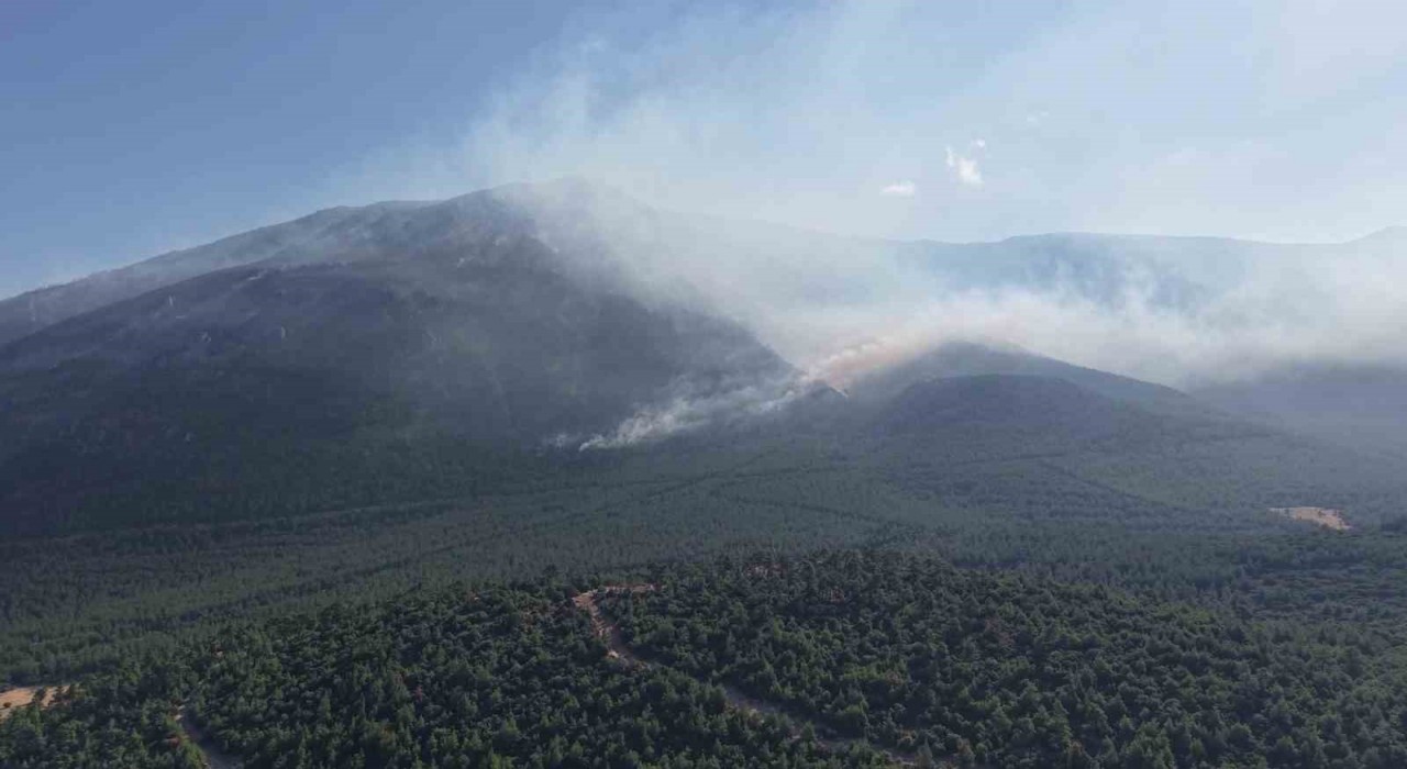 Denizlideki yangın bölgesinde soğutma çalışmaları devam ediyor