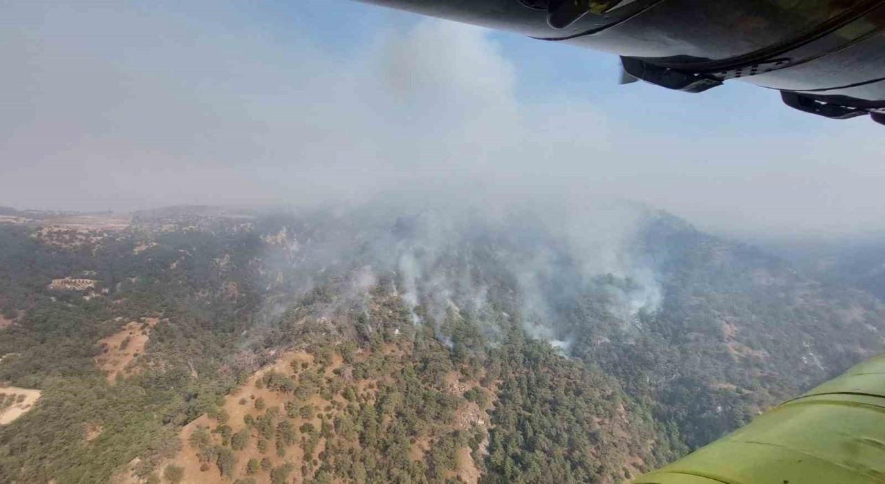 Denizliden Aydına sıçrayan yangında müdahale çalışmaları sürüyor