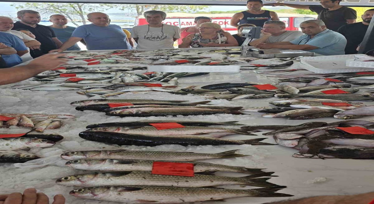 Didimde ilk balık mezatı gerçekleştirildi