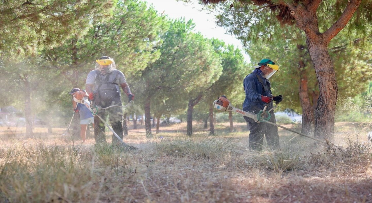 Didimde yangınlara karşı örnek dayanışma