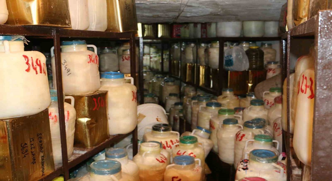 Diyarbakırda kışlık peynir hazırlıkları başladı