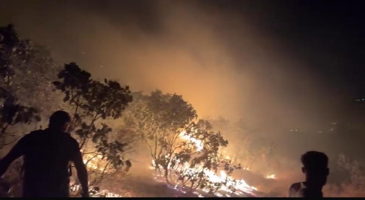 Diyarbakırda ormanlık alanda çıkan yangın söndürüldü