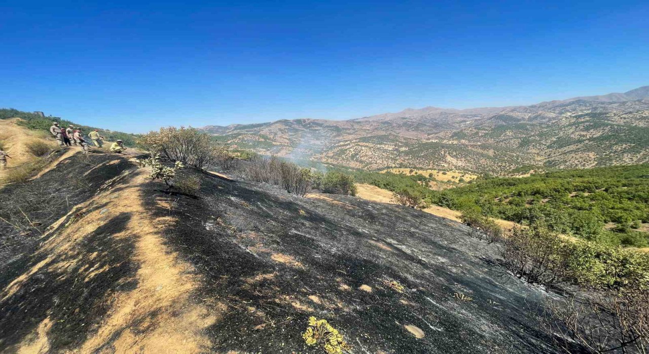 Diyarbakırda üç farklı noktada çıkan yangınlar kontrol altına alındı