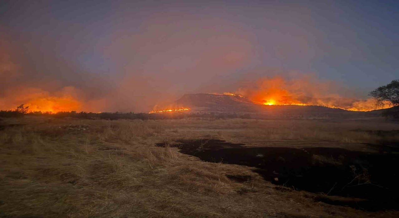 Diyarbakırın 3 ilçesinde etkili olan yangına müdahale devam ediyor