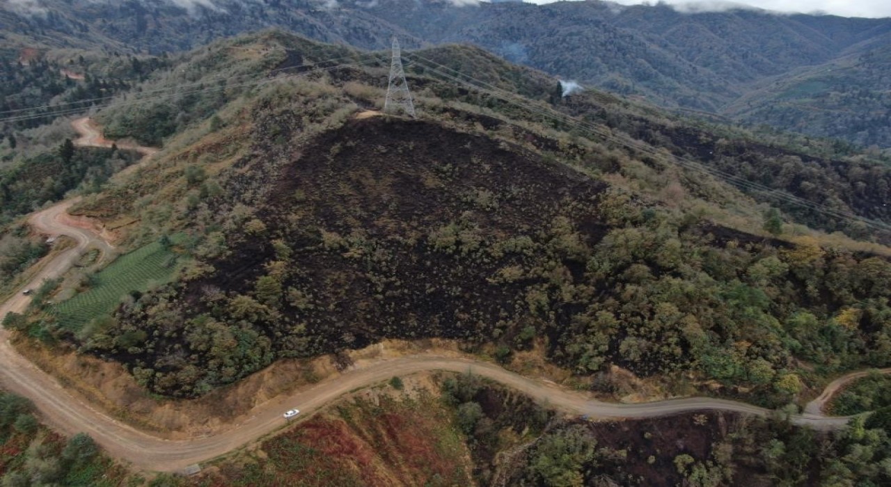 Doç. Dr. Kadir Alperen Coşkuner, Doğu Karadeniz çok yağış alır, bu nedenle yangın olmaz şeklinde bir inanış vardır ancak bu doğru değildir