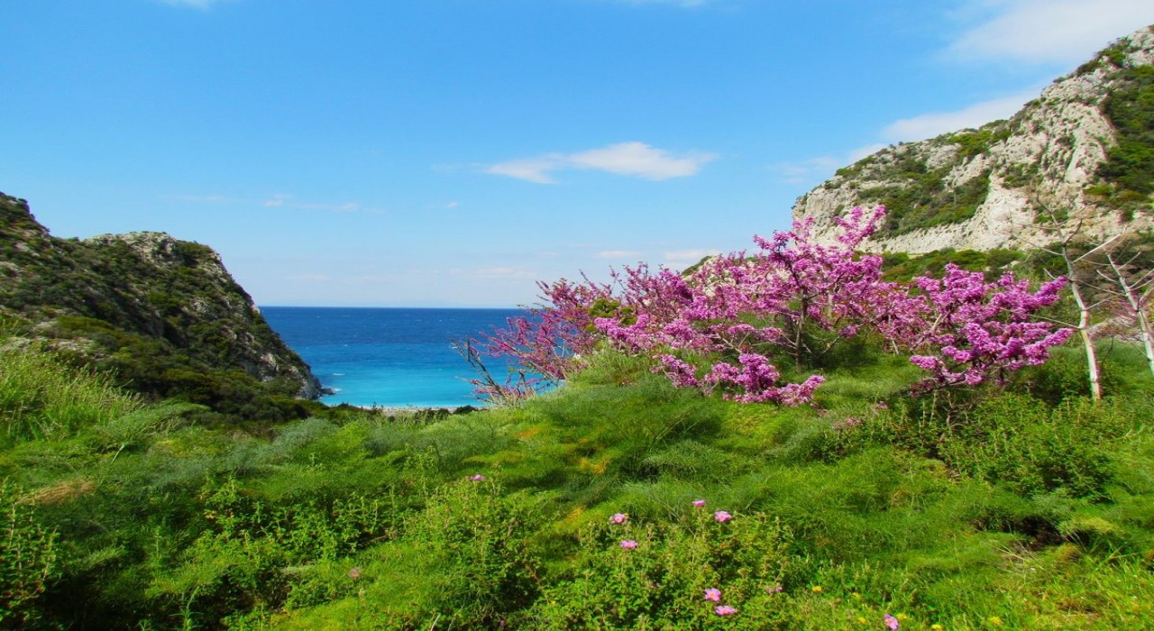 Doğaseverler Dilek Yarımadasına dikkat çekti