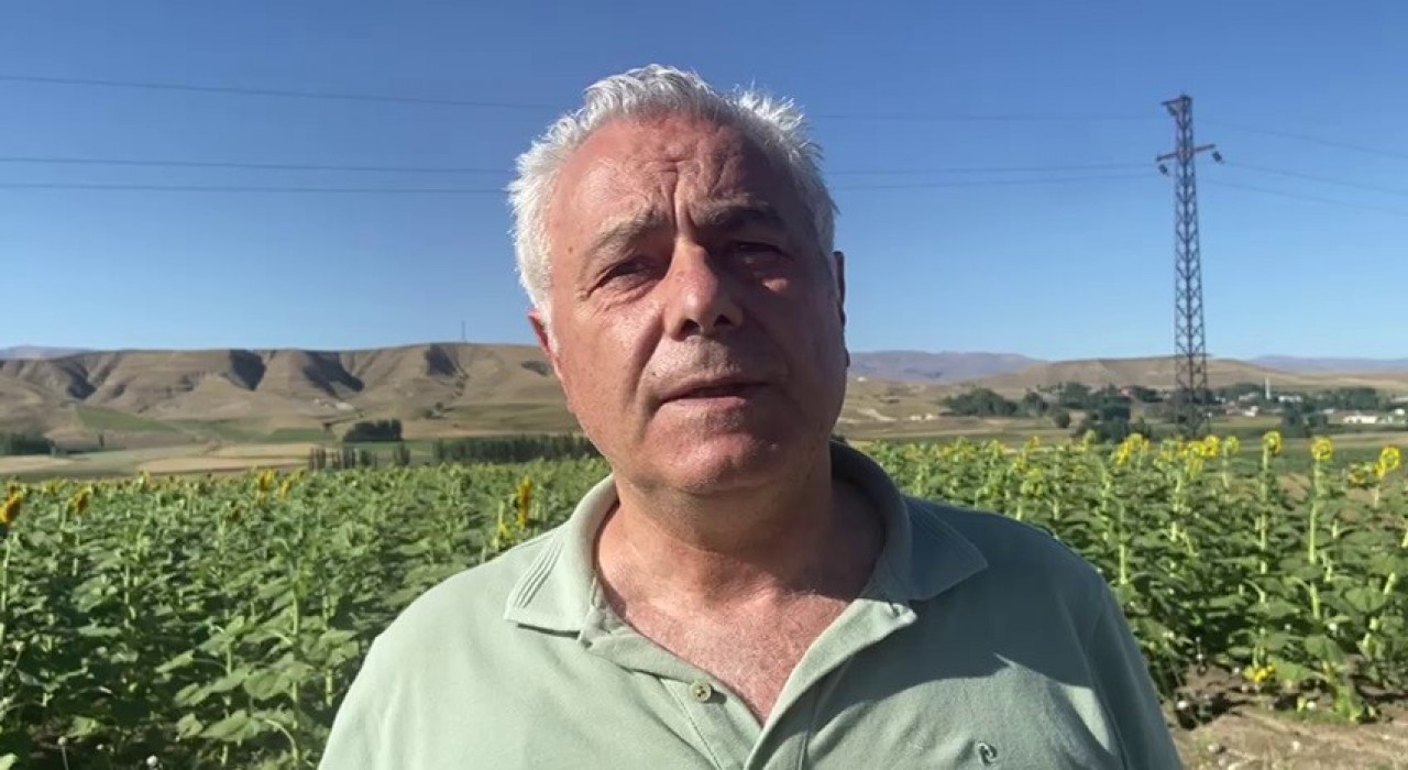 Doğuda ayçiçeği ve mısır üretimi artıyor
