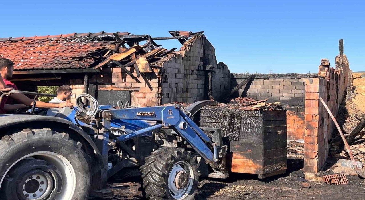 Domaniçte hızar atölyesinde yangın