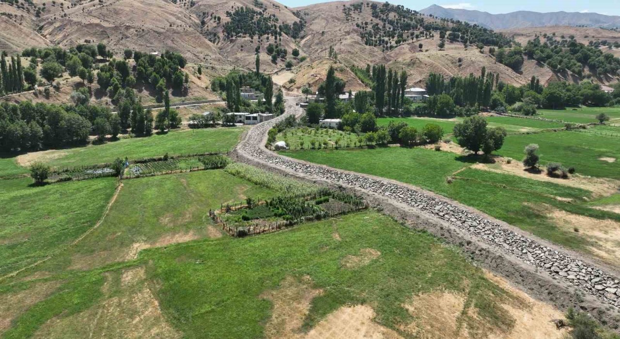 DSİ Genel Müdürü Balta: Bitlis taşkına karşı güçleniyor