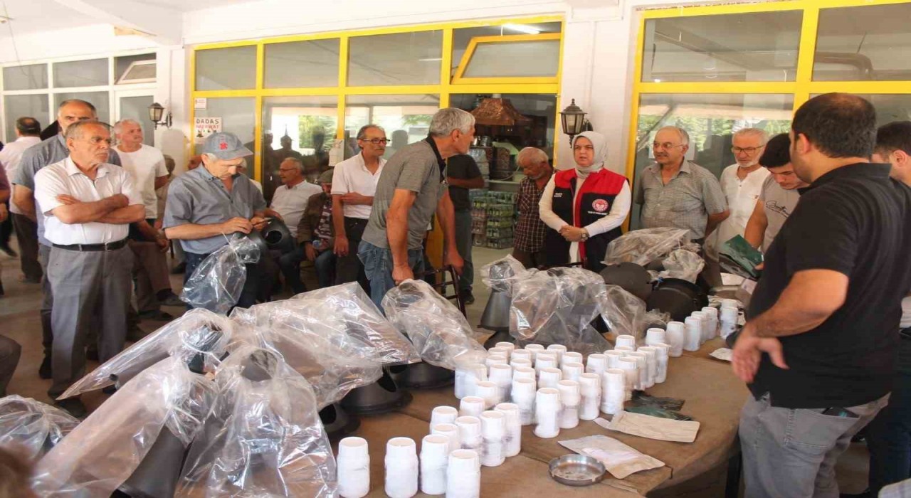 Düzcede kahverengi kokarca ile mücadele devam ediyor