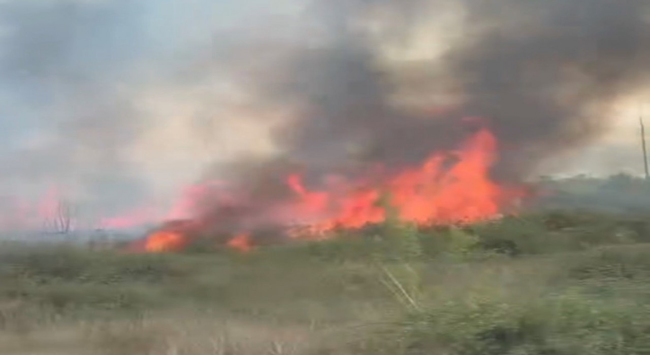 Düzcede yol kenarındaki yangın güçlükle söndürüldü