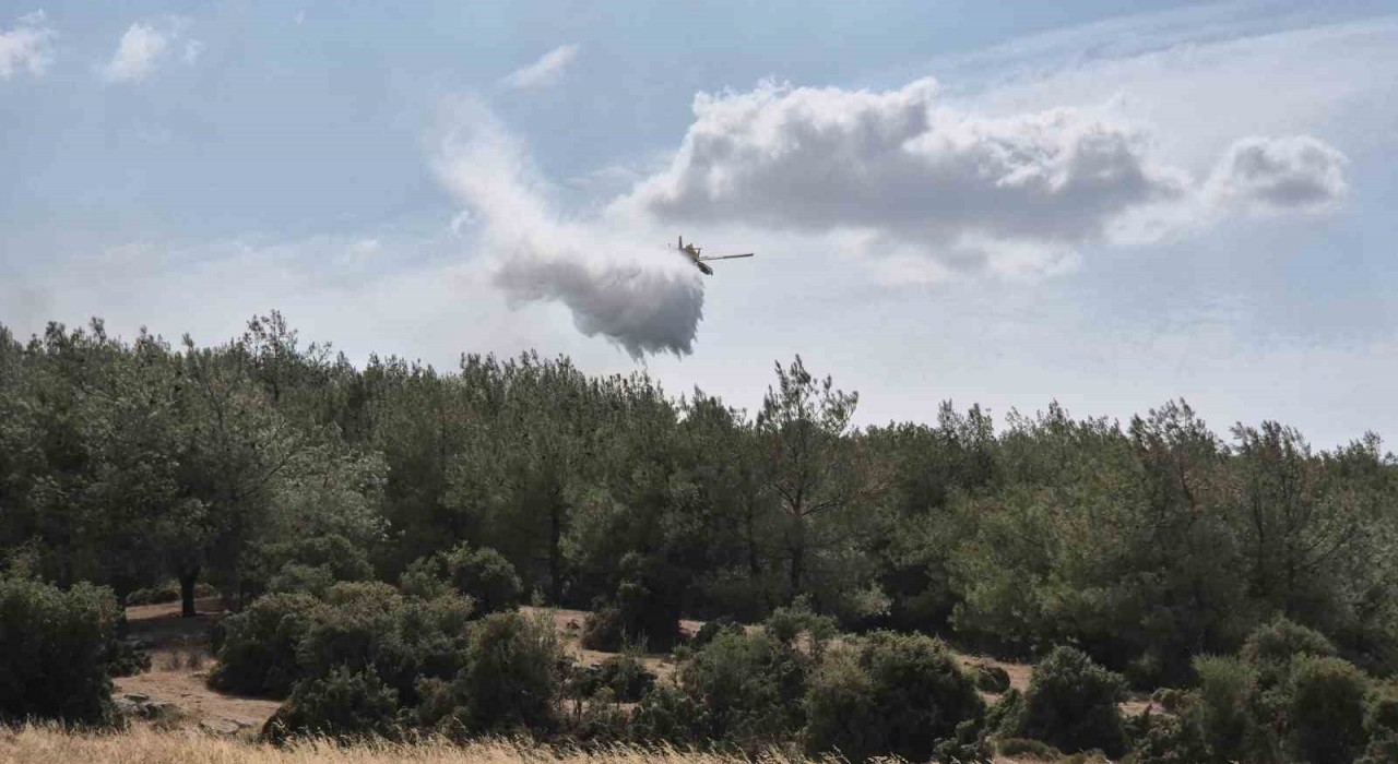 Edirnede çıkan yangın ormanlık alana sıçradı: Havadan ve karadan müdahale ediliyor