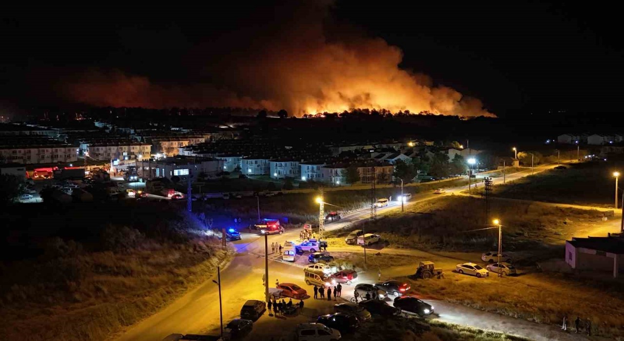Edirnede orman yangını: Alevlerin evlere sıçramasına ramak kaldı