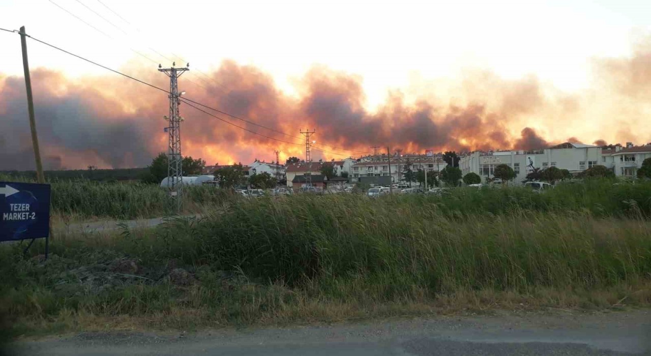 Edirnede tarlada çıkan yangın ormanlık alana doğru ilerliyor