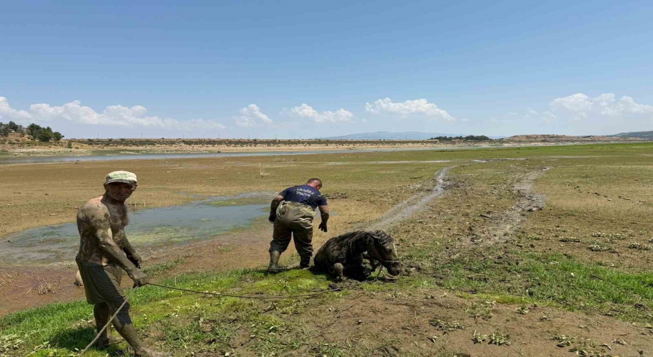 Ekiplerin canhıraş mücadelesi takdir topladı